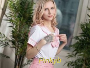 Pinkyb Archive DVD ORG