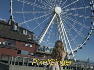 PixelGinger