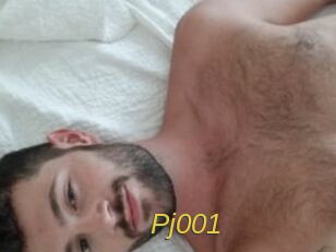 Pj001