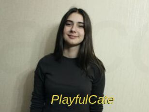 PlayfulCate