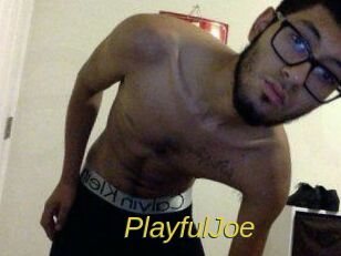 PlayfulJoe