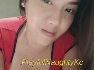PlayfulNaughtyKc