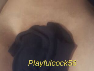 Playfulcock56