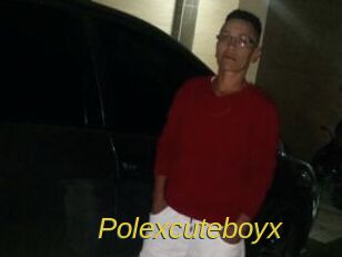 Polexcuteboyx