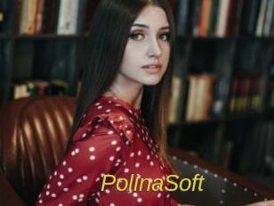 PolinaSoft