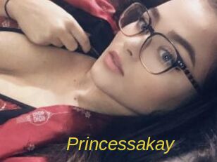 Princessakay Archive DVD ORG