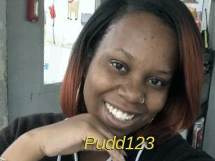 Pudd123