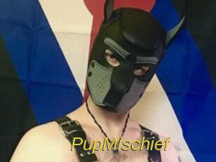 PupMischief