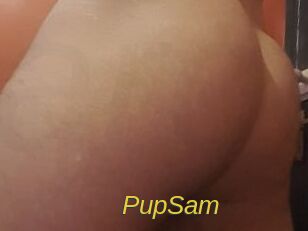 PupSam Archive DVD ORG