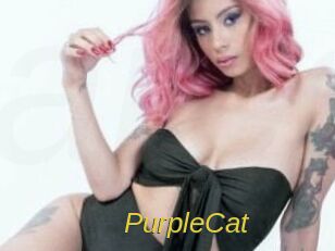 PurpleCat