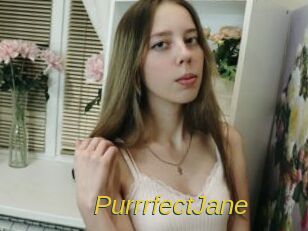PurrrfectJane