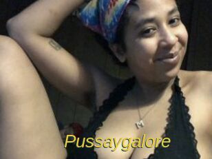 Pussaygalore