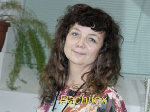 Pachifox