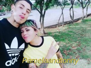 pamelaandtonny Archive DVD ORG