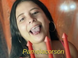 pamelacorson Archive DVD ORG