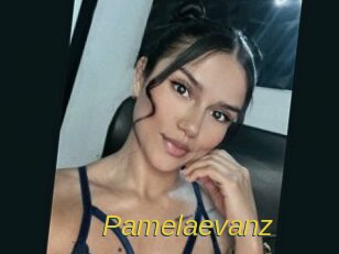 pamelaevanz Archive DVD ORG