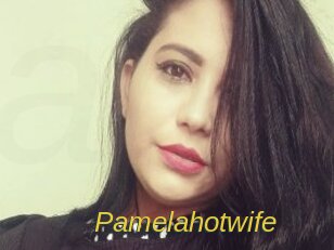 pamelahotwife Archive DVD ORG