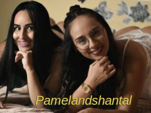 pamelandshantal Archive DVD ORG