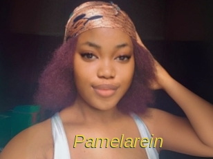 Pamelarein