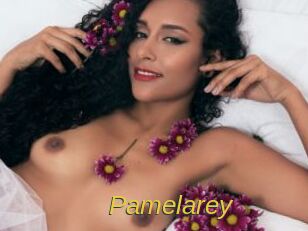 Pamelarey