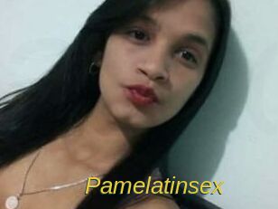 pamelatinsex Archive DVD ORG