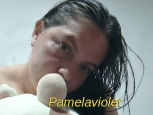 pamelaviolet Archive DVD ORG
