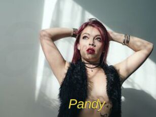 Pandy