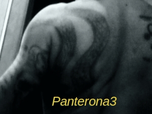 Panterona3