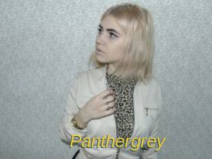 Panthergrey