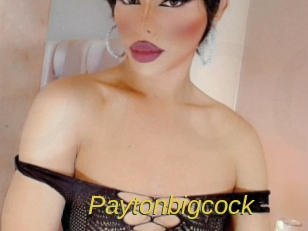paytonbigcock Archive DVD ORG