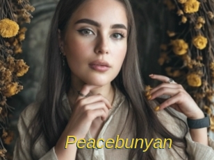 Peacebunyan