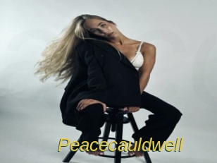 peacecauldwell Archive DVD ORG