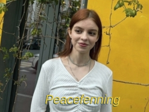 Peacefenning