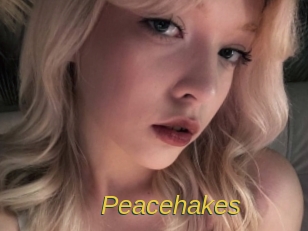 peacehakes Archive DVD ORG