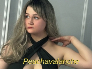 peachavalanche Archive DVD ORG