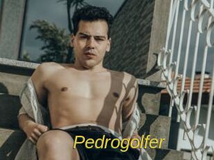 pedrogolfer Archive DVD ORG