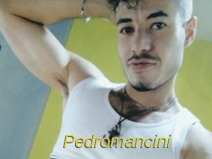 pedromancini Archive DVD ORG