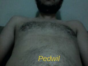 Pedwil