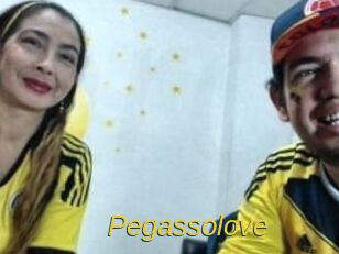 Pegasso_love