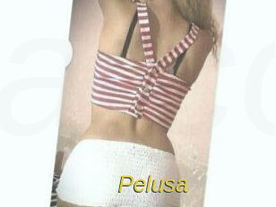 Pelusa