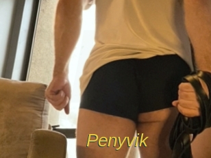 penyvik Archive DVD ORG
