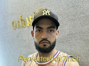 Pervertedboy7inch