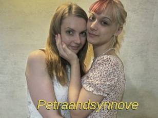 Petraandsynnove