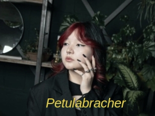 Petulabracher