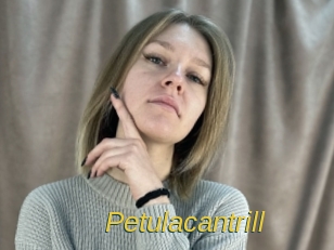 petulacantrill Archive DVD ORG