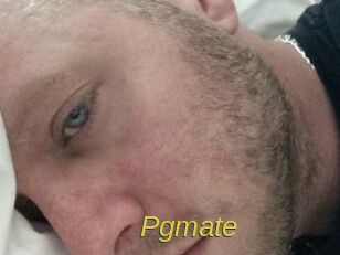 Pgmate