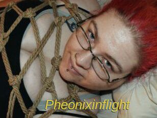 Pheonixinflight