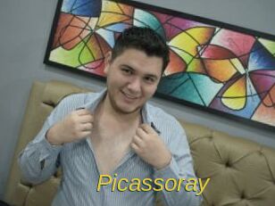 Picassoray