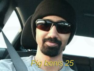 Pig_benis_25