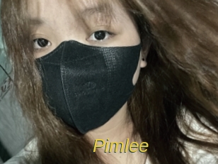 pimlee Archive DVD ORG